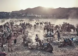 3 Days Danakil Depression Tours Via Semera