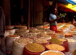 City Tour of Addis Ababa