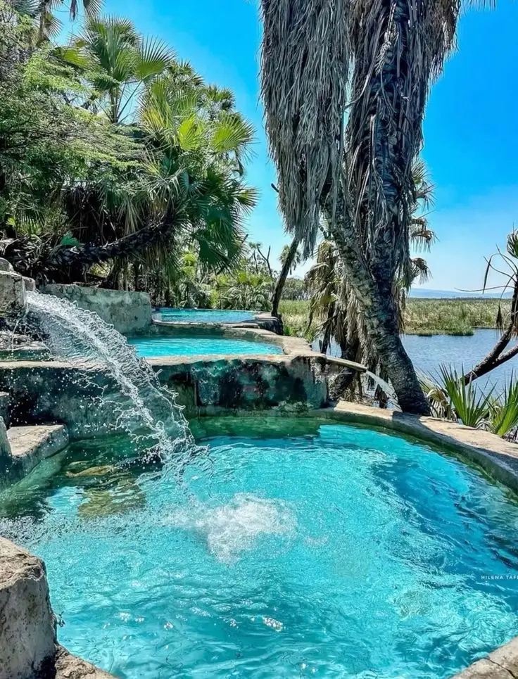 Awash National Park 2 days 7 1 night