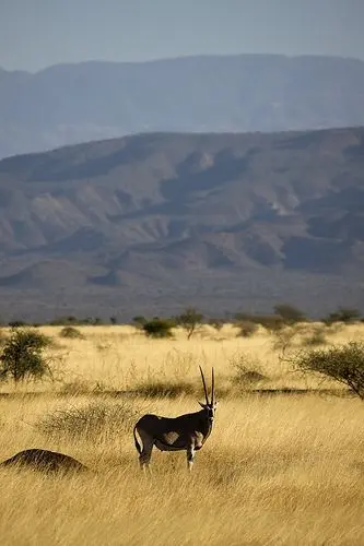 Awash National Park 2 days 7 1 night