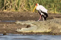 Three Days Omo Valley Tribal Experience