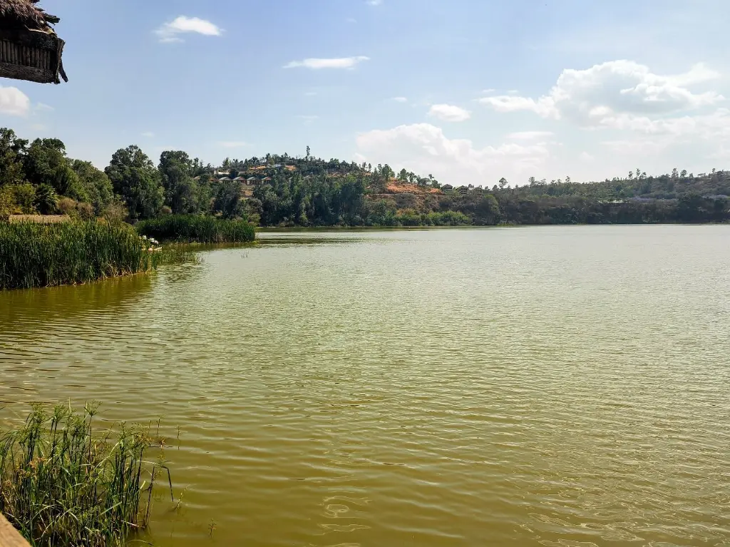 Day Trip Bishoftu Crater Lakes 